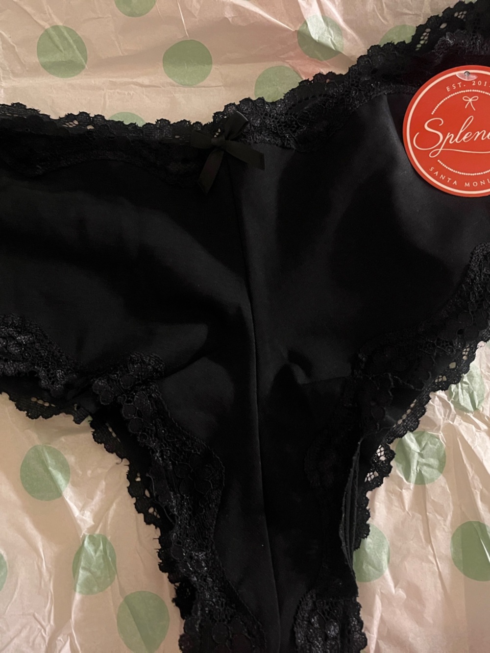 Splendies Black Lace Trim Bikini Panty